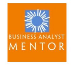 Business Analyst Mentor