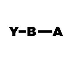 YBA - Young Business Analysts